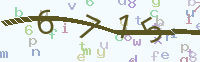 Verify Code